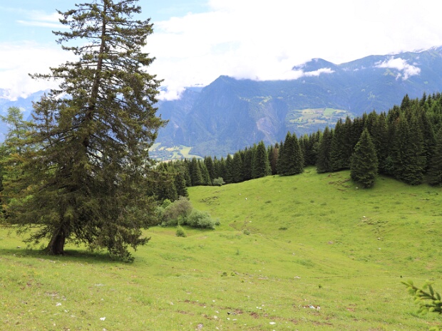 Gürgütschboden