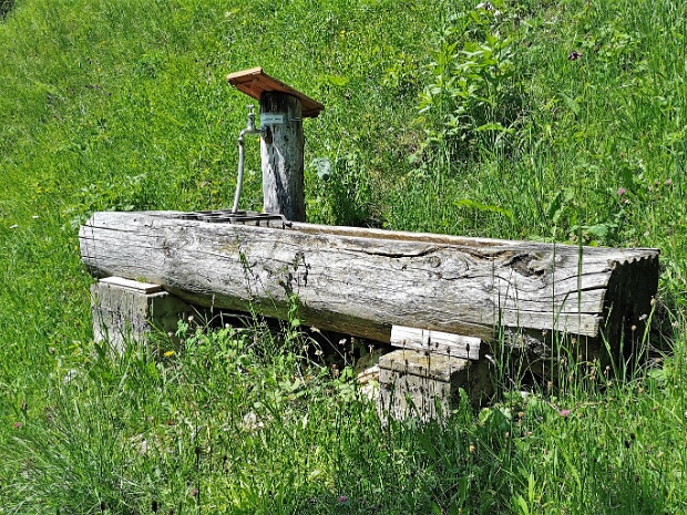 Pizital