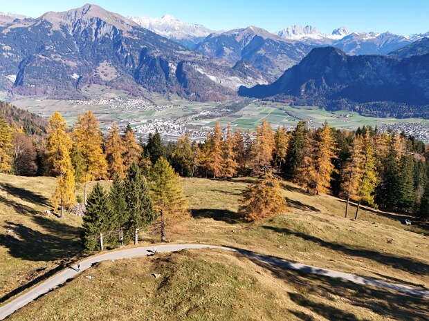 Der Herbst