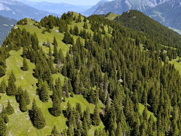 Zweienspitz