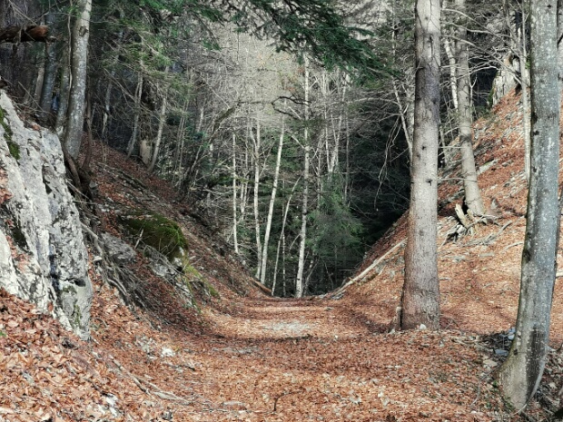 Steggatobel