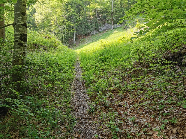 Pfad zur Gortschna Hell