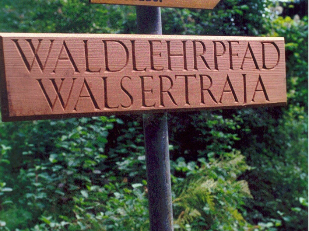 Waldlehrpfad (Walser Traja)