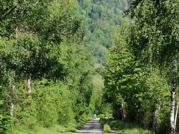 Wuhrweg (Kieswerkstrasse)