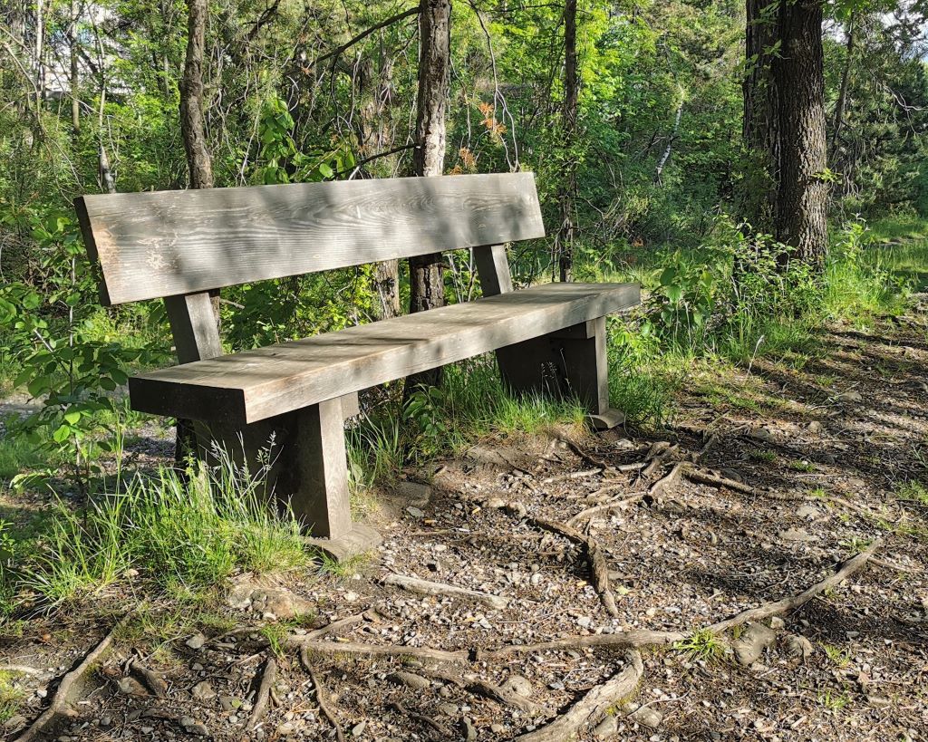 Rheindamm beim Kieswerk